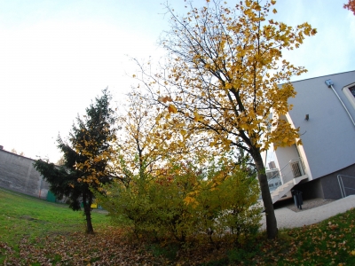 Politechnika Gdańska